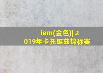 iem(金色)| 2019年卡托维兹锦标赛